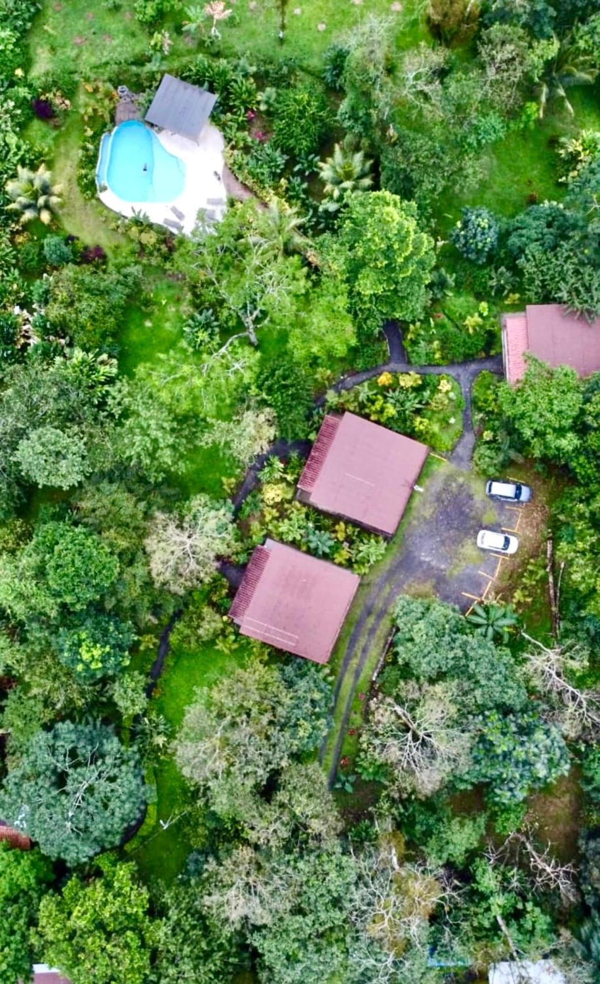 Villa Tucan La Fortuna Exteriör bild